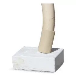 Elephant tusk without base with 2 old piercings