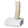 Défense d éléphant sans socle avec 2 percements d anciens - Moinat - Accessoires de décoration