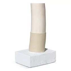 Elefantenstoßzahn, stellenweise gespalten, seitlich dunkel und