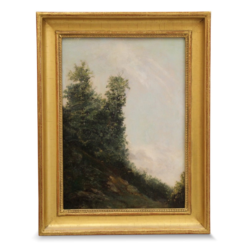 Huile sur bois "Sapin sur versant". - Moinat - Tableaux - Divers Huile sur bois "Sapin sur versant". - Moinat - Tableaux - Divers