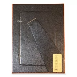 Orange "Lizard" effect photo frame.