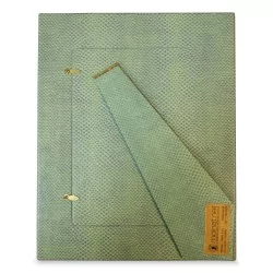 Photo frame with a "snakeskin" effect in green.