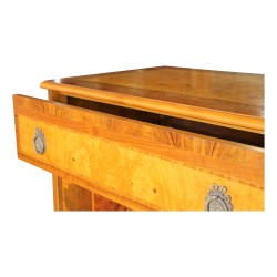 精美镶嵌电视柜。门和抽屉。法国工艺。巴黎。