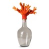 Bouteille décorative "Corail orange". - Moinat - Decorating accessories