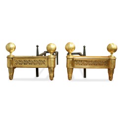 Pair of Louis XVI bronze Directoire andirons.