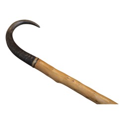 Canne en buis avec crosse en corne de chamois.