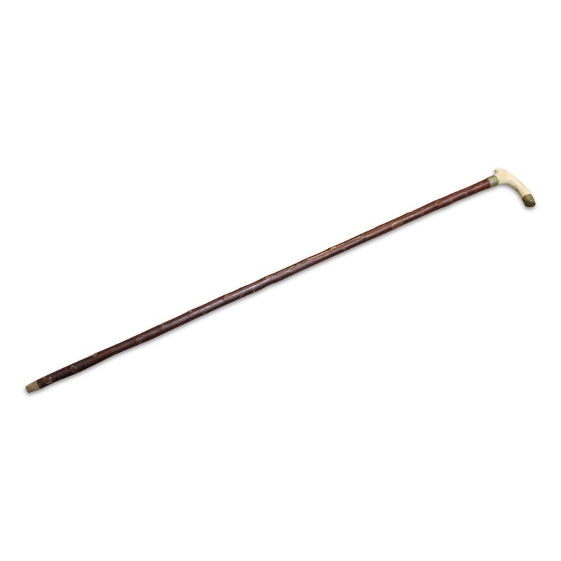 Canne bois épineux avec crosse en ivoire et bague laiton. - Moinat - 装饰配件