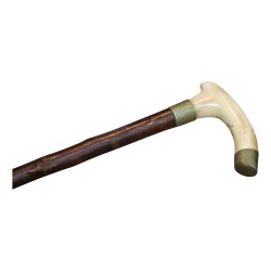 Canne bois épineux avec crosse en ivoire et bague laiton.