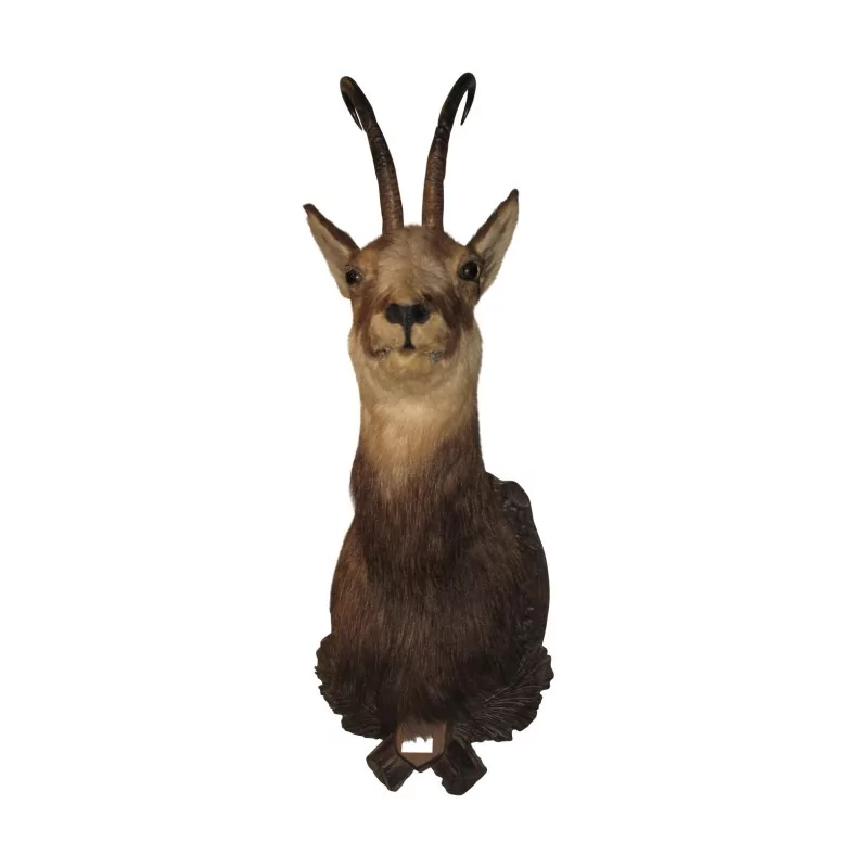 个羚羊头在木雕上。 - Moinat - 装饰配件