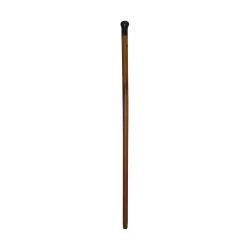 Old wooden cane with round horn knob.