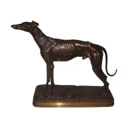 „Lévrier“-Bronze mit dunkler Patina, signiert Dubucand. Frankreich, 19. …