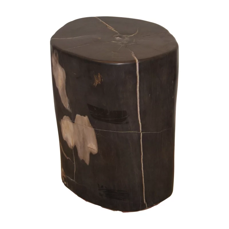 Block of petrified wood. (115kg) - Moinat - End tables, Bouillotte tables, Bedside tables, Pedestal tables