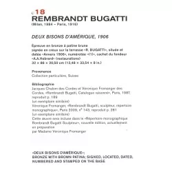 棕色铜绿铜雕“两只美洲野牛”，……