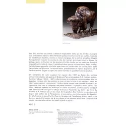 棕色铜绿铜雕“两只美洲野牛”，……