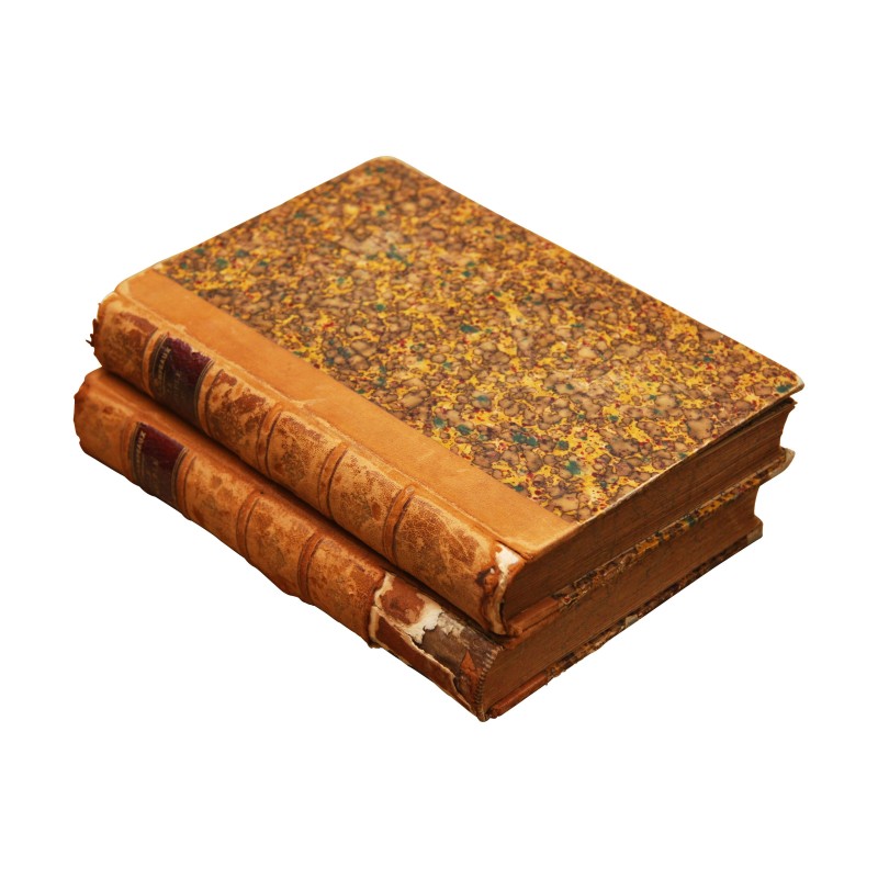 A. de Champeaux 的 2 本书“家具”I 和 II。 - Moinat - 装饰配件 A. de Champeaux 的 2 本书“家具”I 和 II。 - Moinat - 装饰配件