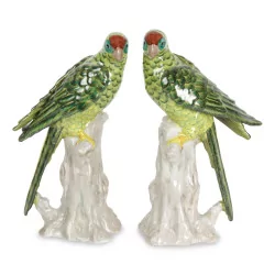 Paire de perroquets en porcelaine, coloris vert.