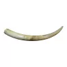 Elephant tusk, split in places, dark on the side and - Moinat - Decorating accessories