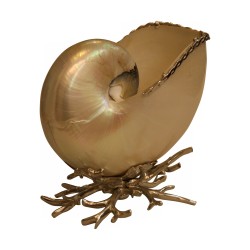 Coquillage Nautile nacrée sur socle corail argenté, objet de …