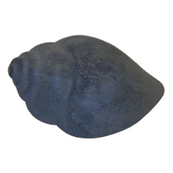Ccoquillage caramel ou olive