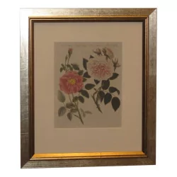2 幅“玫瑰”彩色版画。 （每个 165sfr）。
