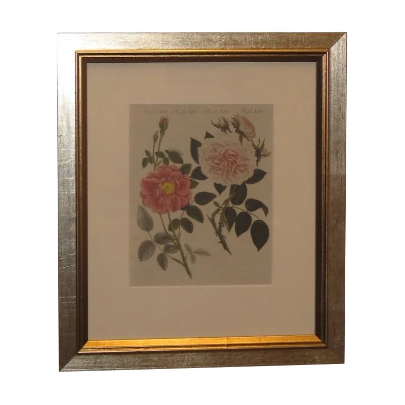 2 “Roses” color engravings. (165sfr each). - Moinat - Prints, Reproductions