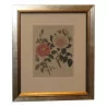 2 “Roses” color engravings. (165sfr each). - Moinat - Prints, Reproductions