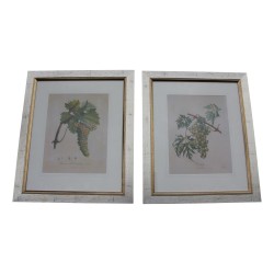Paire de gravures sous verre "Raisin".