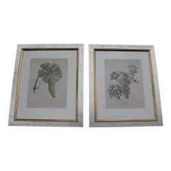 Pair of “Grape” glass engravings.
