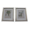 Paire de gravures sous verre "Raisin". - Moinat - Gravures