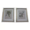 Pair of “Grape” glass engravings. - Moinat - Prints, Reproductions
