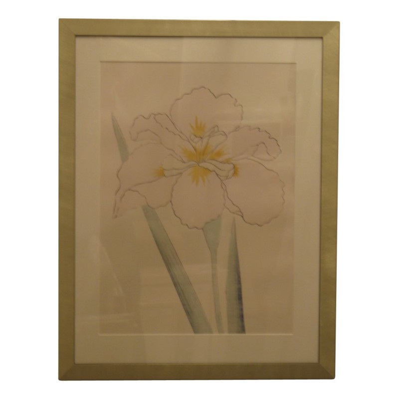 Color Engraving \"Japanese Iris\". - Moinat - Prints, Reproductions