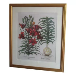“Flowers” color engraving, with gilt frame.