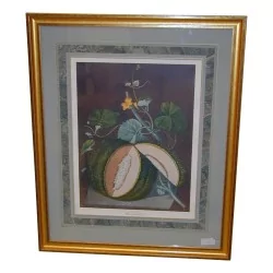 表“水果”，彩色英文版画。