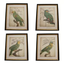 套 4 幅玻璃装饰画“鹦鹉”，带有……
