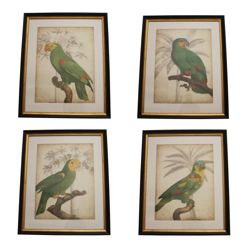 套 4 幅玻璃装饰画“鹦鹉”，带有…… - Moinat - 画 - 各种的