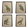 套 4 幅玻璃装饰画“鹦鹉”，带有…… - Moinat - 画 - 各种的