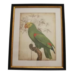 套 4 幅玻璃装饰画“鹦鹉”，带有……