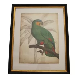 套 4 幅玻璃装饰画“鹦鹉”，带有……