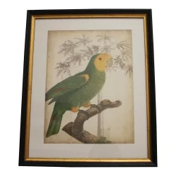 套 4 幅玻璃装饰画“鹦鹉”，带有……