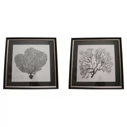 Paire tableaux décoratifs "Corail" en noir sur fond blanc,