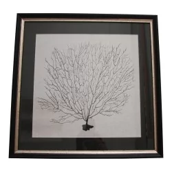 Paire tableaux décoratifs "Corail" en noir sur fond blanc,