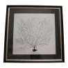 Paire tableaux décoratifs "Corail" en noir sur fond blanc, - Moinat - Tableaux - Divers