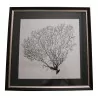 Paire tableaux décoratifs "Corail" en noir sur fond blanc, - Moinat - Tableaux - Divers