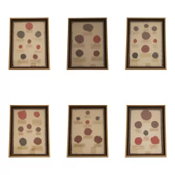 Set of 6 “Seals” paintings with gilded wooden frame.