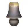 лампа из стеклянной пасты в стиле Галле. 20 век - Moinat - Коробки