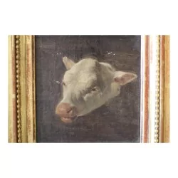 Tableau huile sur toile étude “Tête de veau” non signé, …