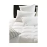 DOR pillow from the Dorbena collection with 2 compartments in - Moinat - Bed linen