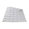 Duvet model ISMENE from the Sanitized collection by Dorbena, … - Moinat - Bed linen