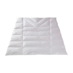 Duvet model ANISUM from the Comfort collection in Dorbena, duvet …