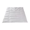 Duvet model ANISUM from the Comfort collection in Dorbena, duvet … - Moinat - Bed linen